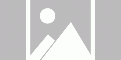 可爱又魔性，国产直觉系节奏音游《动物城咖啡店》Steam商店页现已上线